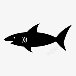 危险水域鲨鱼游泳强壮图标高清图片