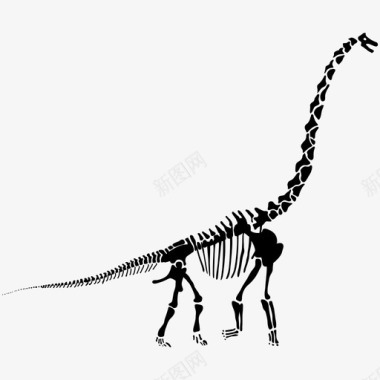 古鸟类骨骼鸟类骨骼古恐龙化石图标图标