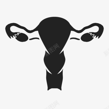 子宫卵巢器官图标图标