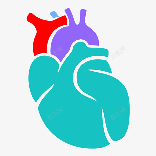 心脏解剖学身体图标svg_新图网 https://ixintu.com 人体 人体器官 心脏 解剖学 身体 身体部位