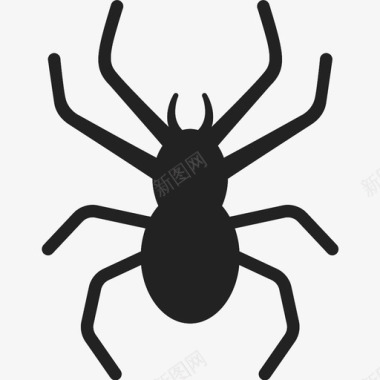 毒蜘蛛图标图标