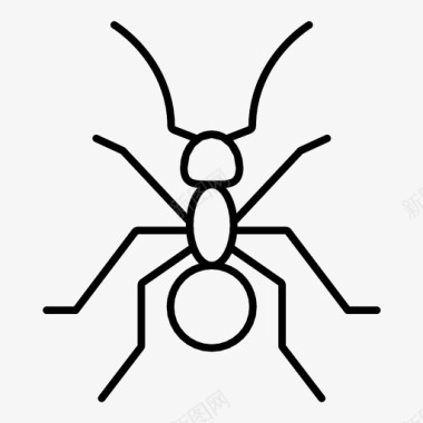 蚂蚁虫子蚁群图标图标