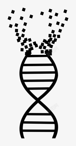 螺旋数字数字dna双螺旋基因工程图标高清图片