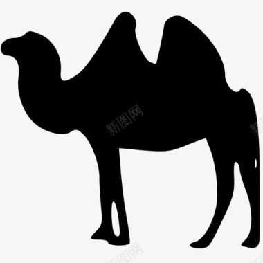 单峰骆驼图标图标