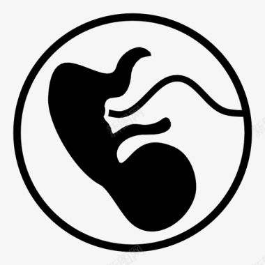 胚胎子宫脐带图标图标