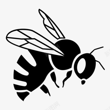 蜂虫蜂巢图标图标