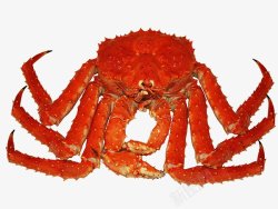 螃蟹大闸蟹海鲜透明18动物昆虫动物大型动物素材