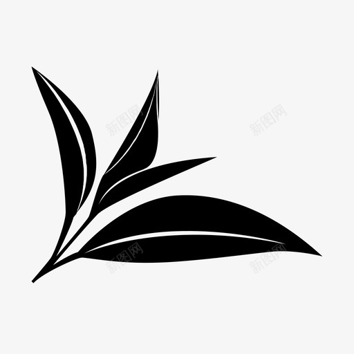 茶叶罗勒植物图标svg_新图网 https://ixintu.com 收获 植物 种植 罗勒 茶叶 药草 饮用