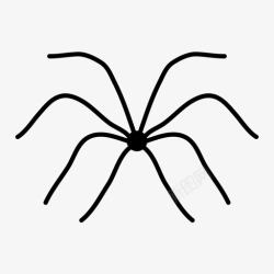 长腿蜘蛛蜘蛛虫子生物图标高清图片