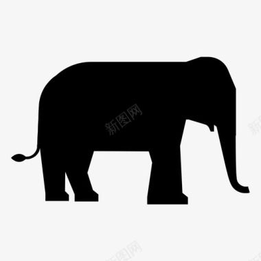 大象动物亚洲象图标图标