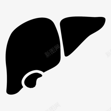 肝脏解剖学生物学图标图标