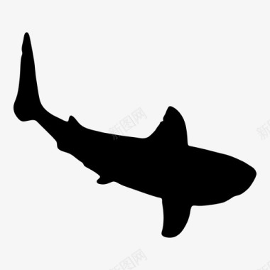 鲨鱼水牙齿图标图标