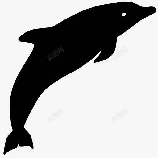 海豚白鲸鱼图标svg_新图网 https://ixintu.com 哺乳动物 海豚 白鲸 鱼 鲸鱼