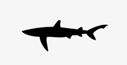 蓝鲨鲨鱼动物海洋图标高清图片
