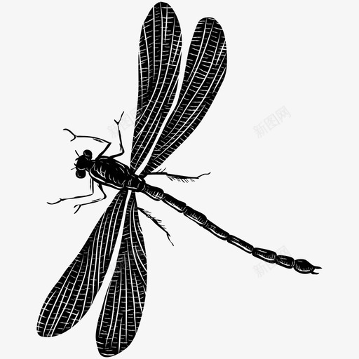 蜻蜓昆虫飞行图标svg_新图网 https://ixintu.com 昆虫 翅膀 蜻蜓 野生动物 飞行