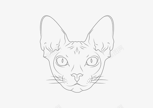 斯芬克斯猫风格毛皮图标svg_新图网 https://ixintu.com 动物 斯芬克斯猫 毛皮 眼睛 耳朵 脸 风格