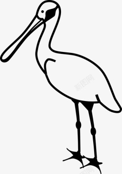 食水苍鹭水生鸟图标高清图片