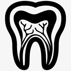 牙本质牙齿神经根图标高清图片