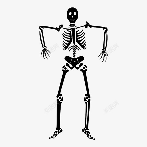 骨骼放射学物体图标svg_新图网 https://ixintu.com 展示 放射学 材料 死亡 物体 物品 解剖 透视 骨骼