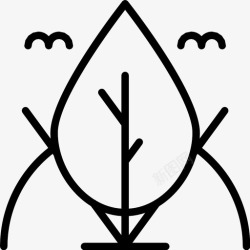 常绿灌木树树苗室外图标高清图片