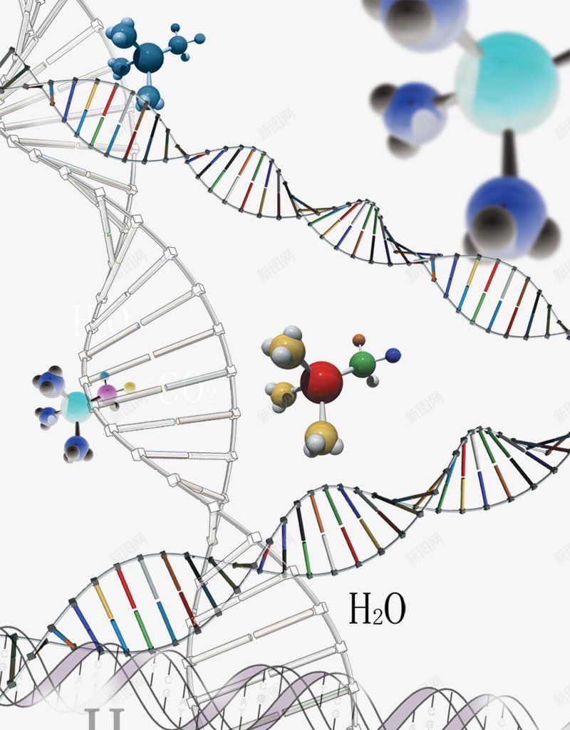 化学二氧化碳水分子美工png免抠素材_新图网 https://ixintu.com PNG免抠素材 二氧化碳 免抠元素 分子结构 化学元素 化学结构图片 效果元素 水分子 美工4793885 背景图片