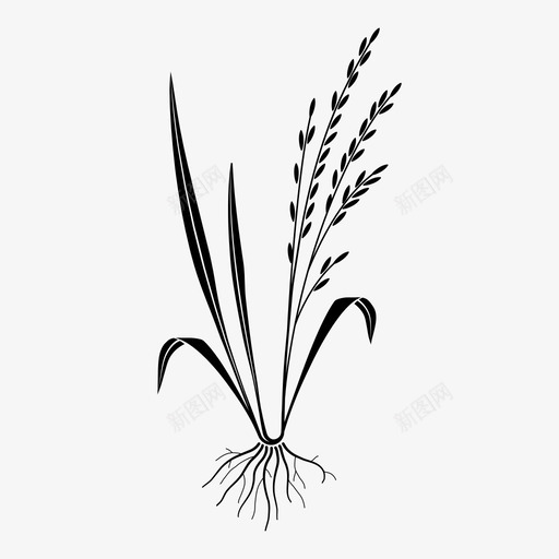 水稻根植物图标svg_新图网 https://ixintu.com 农作物 收获 根 植物 水稻 水稻作物 草 谷物 谷类