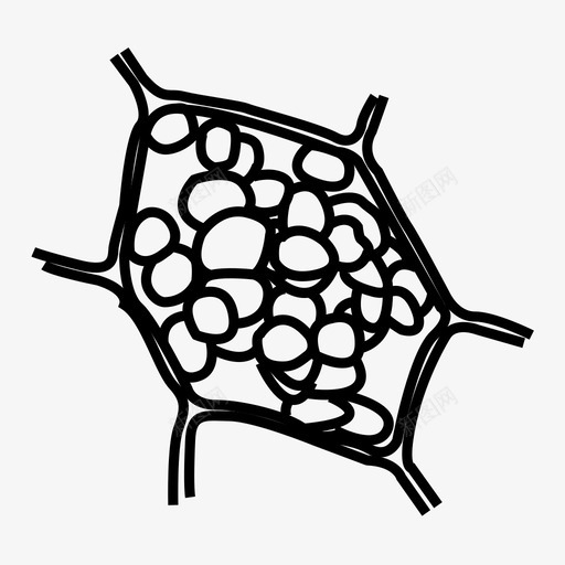 叶绿体细胞部分图标svg_新图网 https://ixintu.com 叶绿体 细胞部分