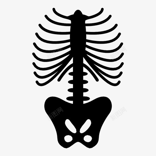 骨骼胸腔肋骨图标svg_新图网 https://ixintu.com x射线 肋骨 胸腔 胸骨 脊椎 轮廓 骨骼 骨骼系统
