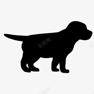 狗猎犬实验室图标图标