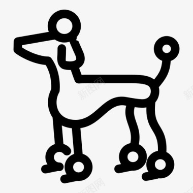 贵宾犬宠物狗巴黎图标图标
