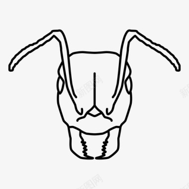 蚂蚁甲虫跳蚤图标图标