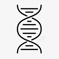 英语标识双螺旋复杂dna图标高清图片