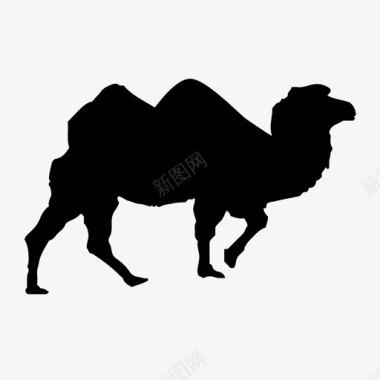 骆驼动物图标图标