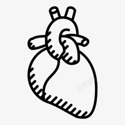 人类血管心脏泵器官图标高清图片