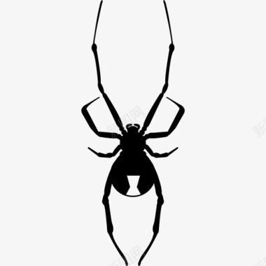 南方黑寡妇黑寡妇蜘蛛网图标图标