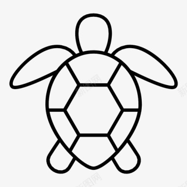 海龟水乌龟图标图标