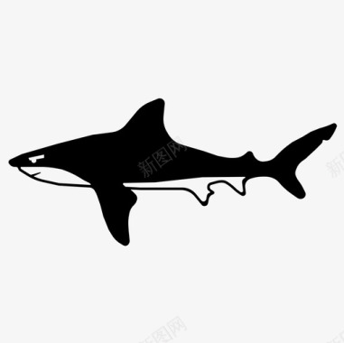 鲨鱼动物水生图标图标