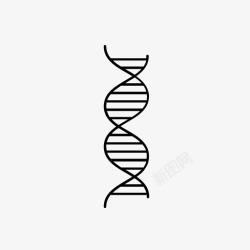 基因组科学家dna双螺旋系谱图标高清图片