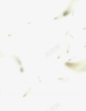 花瓣玫瑰花瓣樱花桃花飘落飘洒散落前景花瓣点缀前景点图标图标