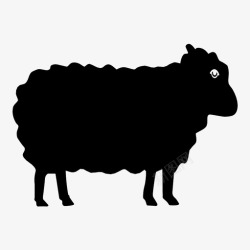 苏格兰黑绵羊绵羊兽医公羊图标高清图片