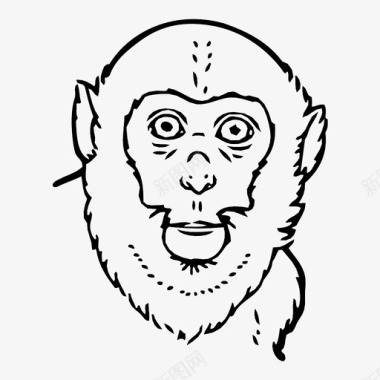 猴子野生动物灵长类图标图标