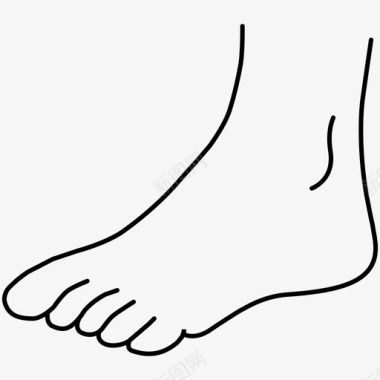 脚身体脚跟图标图标