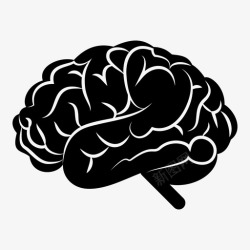 神经学大脑思维器官图标高清图片