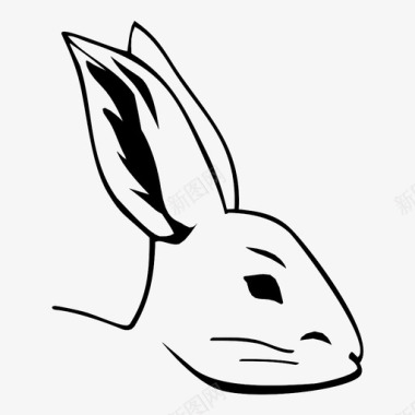 兔子野生动物宠物图标图标