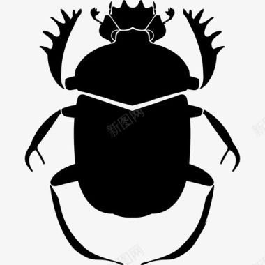 粪甲虫金龟子科昆虫图标图标