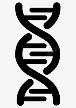 基因组DNAdna双螺旋基因图标高清图片