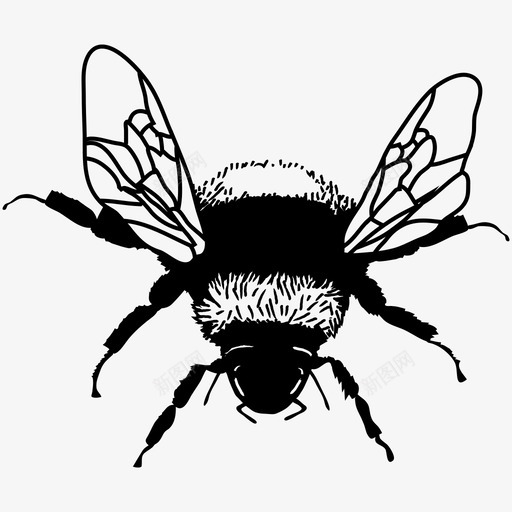 蜜蜂花粉害虫图标svg_新图网 https://ixintu.com 害虫 巢 昆虫 自然 花粉 花蜜 苍蝇 蜂巢 蜜蜂