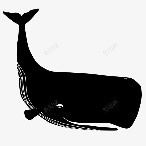 抹香鲸水海洋生物图标svg_新图网 https://ixintu.com 哺乳动物 太平洋 巨型 抹香鲸 水 海岸 海洋 海洋生物 海边 鱼类