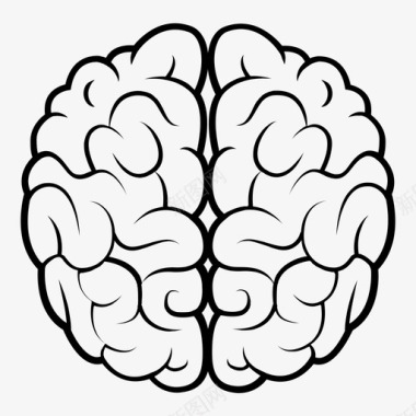 大脑解剖学生物学图标图标