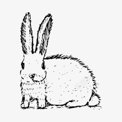 白色兔子贴纸兔子野生动物白色图标高清图片